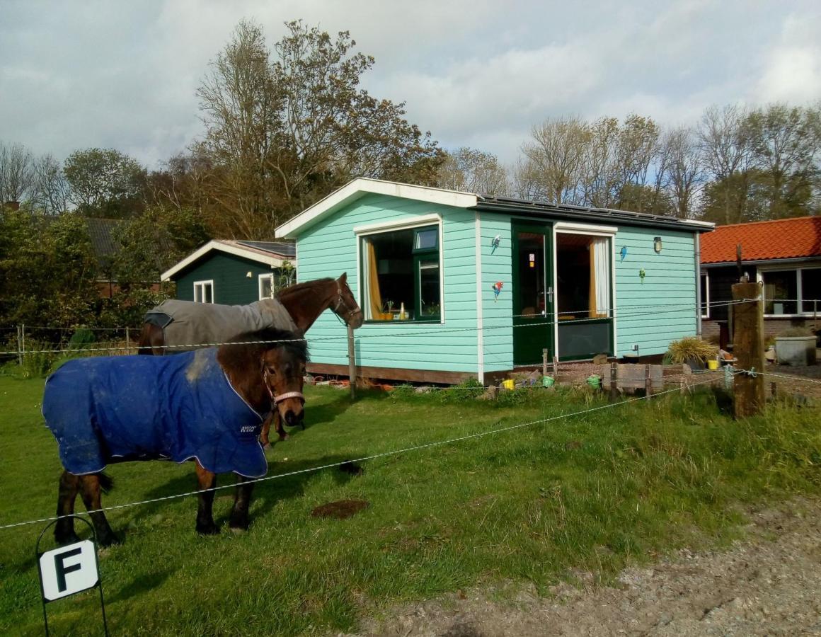 Betty'S Tiny House Bed & Breakfast Wieringerwerf Exterior foto
